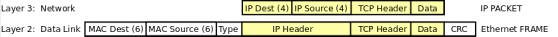 IP packet inside an ethernet frame