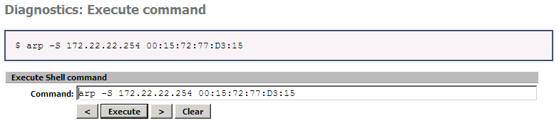 exec arp command